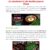 Мелбет Melbet официальный сайт диалоговый игорный дом Зарегистрирование а еще вербовое