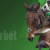 Мелбет зеркало, оформление, обзор сайта Melbet
