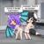 !!!! Totally free Pornography Gender Video Mature grown video clips Released Widespread adult xHamster, XNXX COM HD765445
