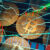 Unlocking Success The Future of Trading Automation Crypto